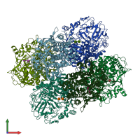PDB entry 1l1y coloured by chain, front view.
