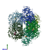 PDB entry 1l1y coloured by chain, side view.