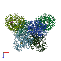 PDB entry 1l1y coloured by chain, top view.