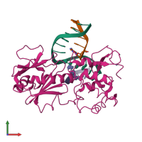 PDB entry 1l2b coloured by chain, front view.