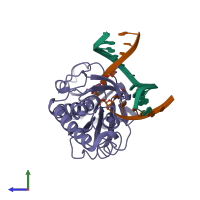 PDB entry 1l2c coloured by chain, side view.