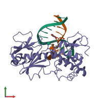 PDB entry 1l2d coloured by chain, front view.