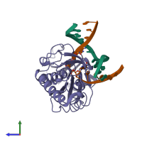 PDB entry 1l2d coloured by chain, side view.