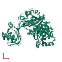 PDB entry 1l2l coloured by chain, front view.