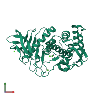 PDB entry 1l3f coloured by chain, front view.