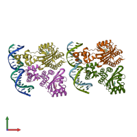 PDB entry 1l3l coloured by chain, front view.