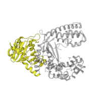 The deposited structure of PDB entry 1l3s contains 1 copy of SCOP domain 53118 (DnaQ-like 3'-5' exonuclease) in DNA polymerase I. Showing 1 copy in chain C [auth A].