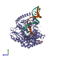 PDB entry 1l3v coloured by chain, side view.