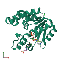 PDB entry 1l4u coloured by chain, front view.