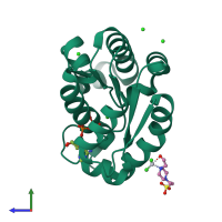PDB entry 1l4u coloured by chain, side view.