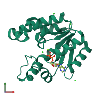 PDB entry 1l4y coloured by chain, front view.