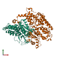 PDB entry 1l5h coloured by chain, front view.