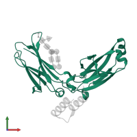 Immunoglobulin heavy constant gamma 1 in PDB entry 1l6x, assembly 1, front view.