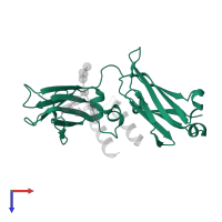 Immunoglobulin heavy constant gamma 1 in PDB entry 1l6x, assembly 1, top view.