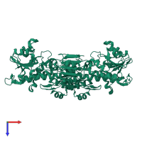 Homo dimeric assembly 1 of PDB entry 1l7d coloured by chemically distinct molecules, top view.