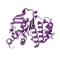 The deposited structure of PDB entry 1l7v contains 2 copies of CATH domain 3.40.50.300 (Rossmann fold) in Vitamin B12 import ATP-binding protein BtuD. Showing 1 copy in chain C.