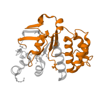 The deposited structure of PDB entry 1l7v contains 2 copies of Pfam domain PF00005 (ABC transporter) in Vitamin B12 import ATP-binding protein BtuD. Showing 1 copy in chain C.