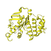 The deposited structure of PDB entry 1l7v contains 2 copies of SCOP domain 52686 (ABC transporter ATPase domain-like) in Vitamin B12 import ATP-binding protein BtuD. Showing 1 copy in chain C.