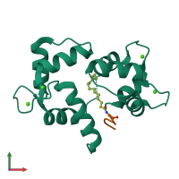 PDB entry 1l7z coloured by chain, front view.