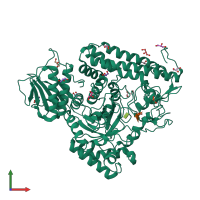 PDB entry 1l8n coloured by chain, front view.