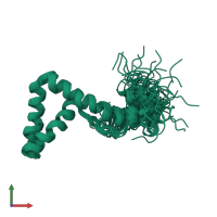 PDB entry 1l8y coloured by chain, ensemble of 30 models, front view.