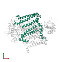 Reaction center protein L chain in PDB entry 1l9j, assembly 1, front view.