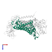 Reaction center protein L chain in PDB entry 1l9j, assembly 1, top view.