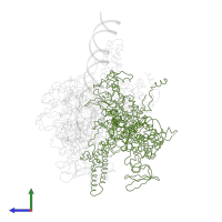 DNA-directed RNA polymerase subunit beta' in PDB entry 1l9z, assembly 1, side view.