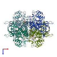 PDB entry 1la2 coloured by chain, top view.