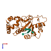 PDB entry 1lau coloured by chain, top view.