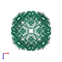 Homo 24-meric assembly 1 of PDB entry 1lb3 coloured by chemically distinct molecules, top view.