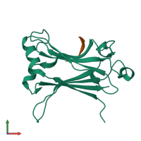 PDB entry 1lb5 coloured by chain, front view.