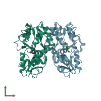 PDB entry 1lb9 coloured by chain, front view.