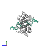 Hetero tetrameric assembly 1 of PDB entry 1lbg coloured by chemically distinct molecules, side view.