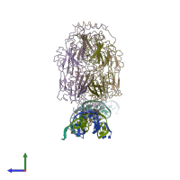 PDB entry 1lbg coloured by chain, side view.