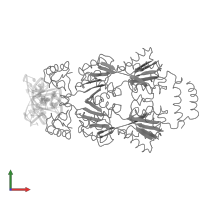 Lactose operon repressor in PDB entry 1lbg, assembly 1, front view.