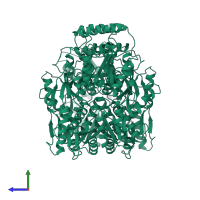 Lactose operon repressor in PDB entry 1lbh, assembly 1, side view.