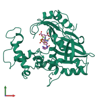 PDB entry 1lce coloured by chain, front view.