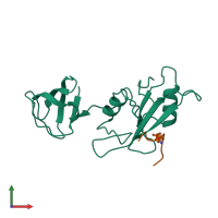 PDB entry 1lck coloured by chain, front view.