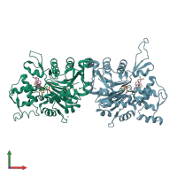 PDB entry 1lcu coloured by chain, front view.