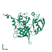 PDB entry 1lcy coloured by chain, front view.