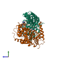 PDB entry 1ld7 coloured by chain, side view.