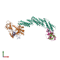 Hetero pentameric assembly 1 of PDB entry 1ldk coloured by chemically distinct molecules, front view.