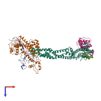 Hetero pentameric assembly 1 of PDB entry 1ldk coloured by chemically distinct molecules, top view.