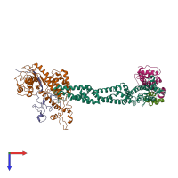 PDB entry 1ldk coloured by chain, top view.