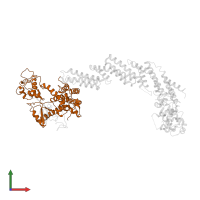 Cullin-1 in PDB entry 1ldk, assembly 1, front view.