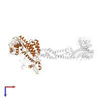 Cullin-1 in PDB entry 1ldk, assembly 1, top view.