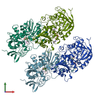 PDB entry 1ldy coloured by chain, front view.