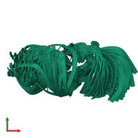 PDB entry 1ldz coloured by chain, ensemble of 25 models, front view.