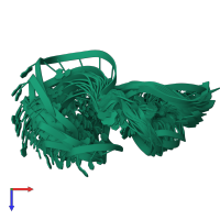 PDB entry 1ldz coloured by chain, ensemble of 25 models, top view.